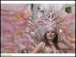 Carnaval de Mula 2014